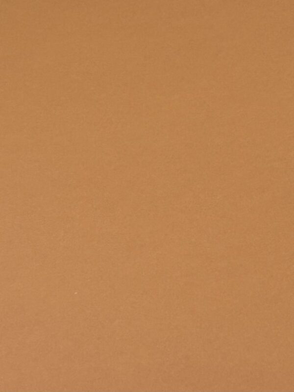 Bristol Board Rust 45 x 64