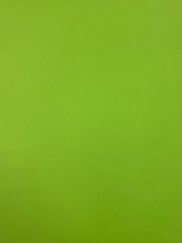 Bristol Board Lime Green 57 X 73