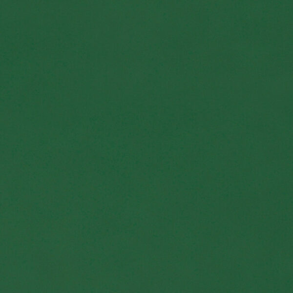 Bristol Board Dark Green 57x73