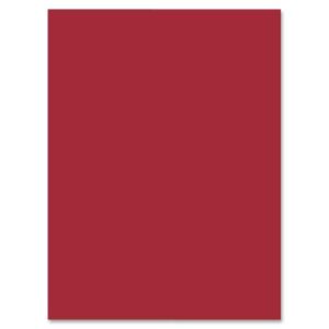 Bristol Board Red 57x73