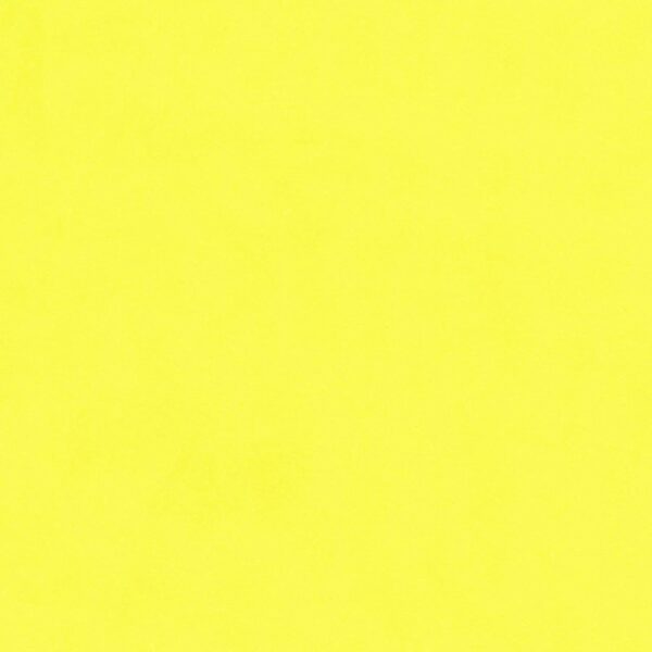Bristol Board Daffodil Yellow 57x73