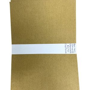 Manilla Envelope 9.84x6.93 P S