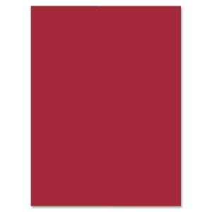 Bristol Board Red 57x73