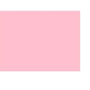 Bristol Board Pink 57x73
