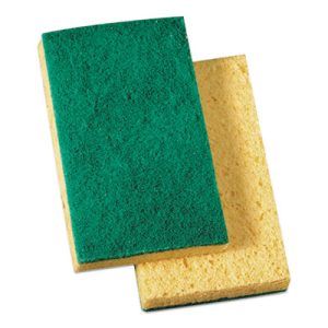 Boardwalk Sponge
